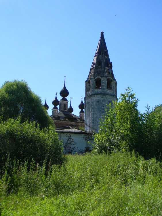 Церковь Рождества Христова, Сокольское (Лухский район, Ивановская область). общий вид в ландшафте