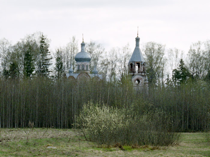 Новопокровское, урочище. Церковь Вознесения Господня. общий вид в ландшафте