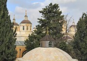 Церковь Александры Римской, Купол. На заднем плане русский Троицкий собор.<br>, Иерусалим - Русское подворье, Израиль, Прочие страны