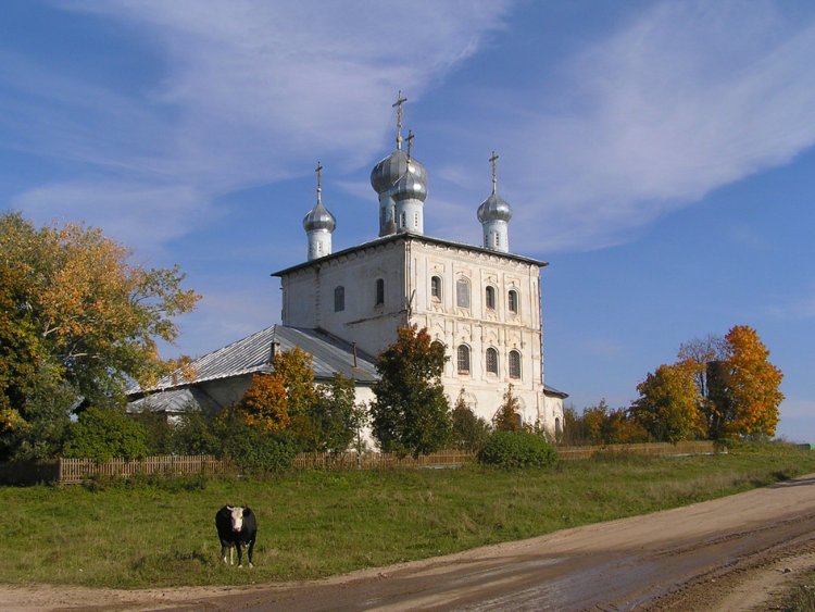 Сукромны. Церковь Тихвинской иконы Божией Матери. общий вид в ландшафте