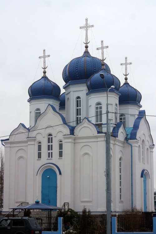 Панино. Церковь Казанской иконы Божией Матери. общий вид в ландшафте