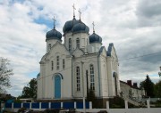 Церковь Казанской иконы Божией Матери, , Панино, Панинский район, Воронежская область