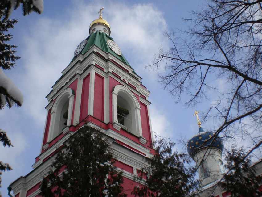 Балашиха. Церковь Рождества Пресвятой Богородицы. архитектурные детали