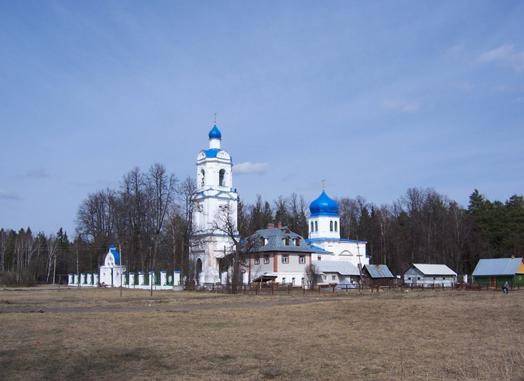 Церковь Рождества Пресвятой Богородицы, Нестерово (Орехово-Зуевский городской округ, Московская область). общий вид в ландшафте