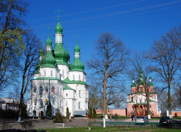 Троицкий Густынский монастырь, Густыня (Прилуцкий район, Украина, Черниговская область). общий вид в ландшафте