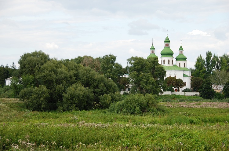 Георгиевский монастырь, Часновцы (Черниговский район, Украина, Черниговская область). общий вид в ландшафте