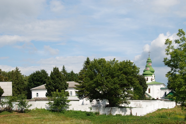 Даневка. Георгиевский монастырь. общий вид в ландшафте