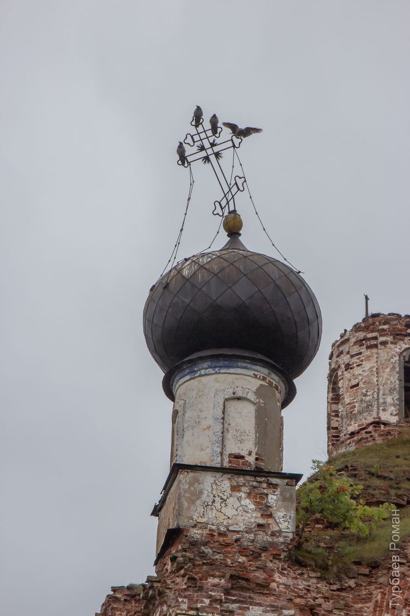Церковь Спаса Нерукотворного Образа, Анхимово (Вытегорский район, Вологодская область). архитектурные детали, Уцелевшая глава