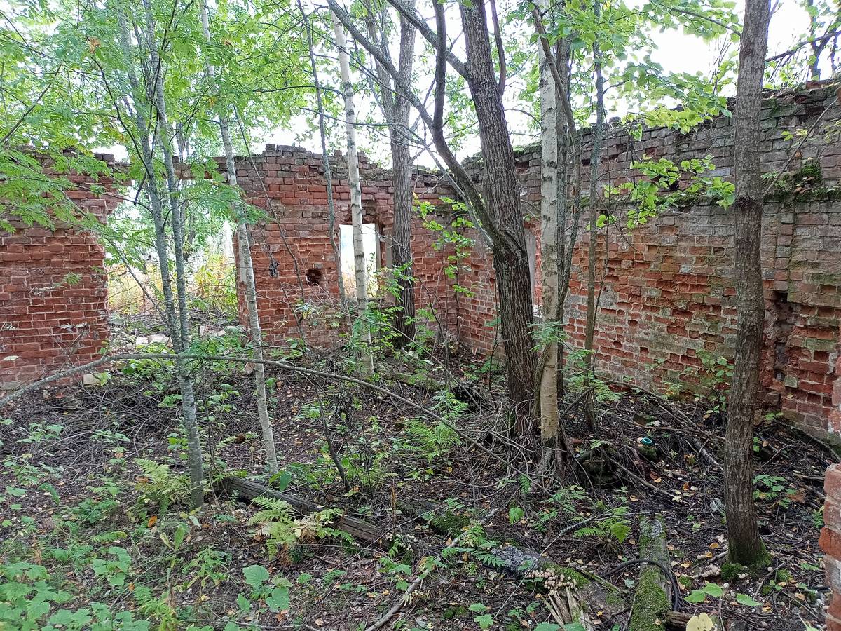 Церковь Троицы Живоначальной, Покровское (Сокольский район, Вологодская область). интерьер и убранство