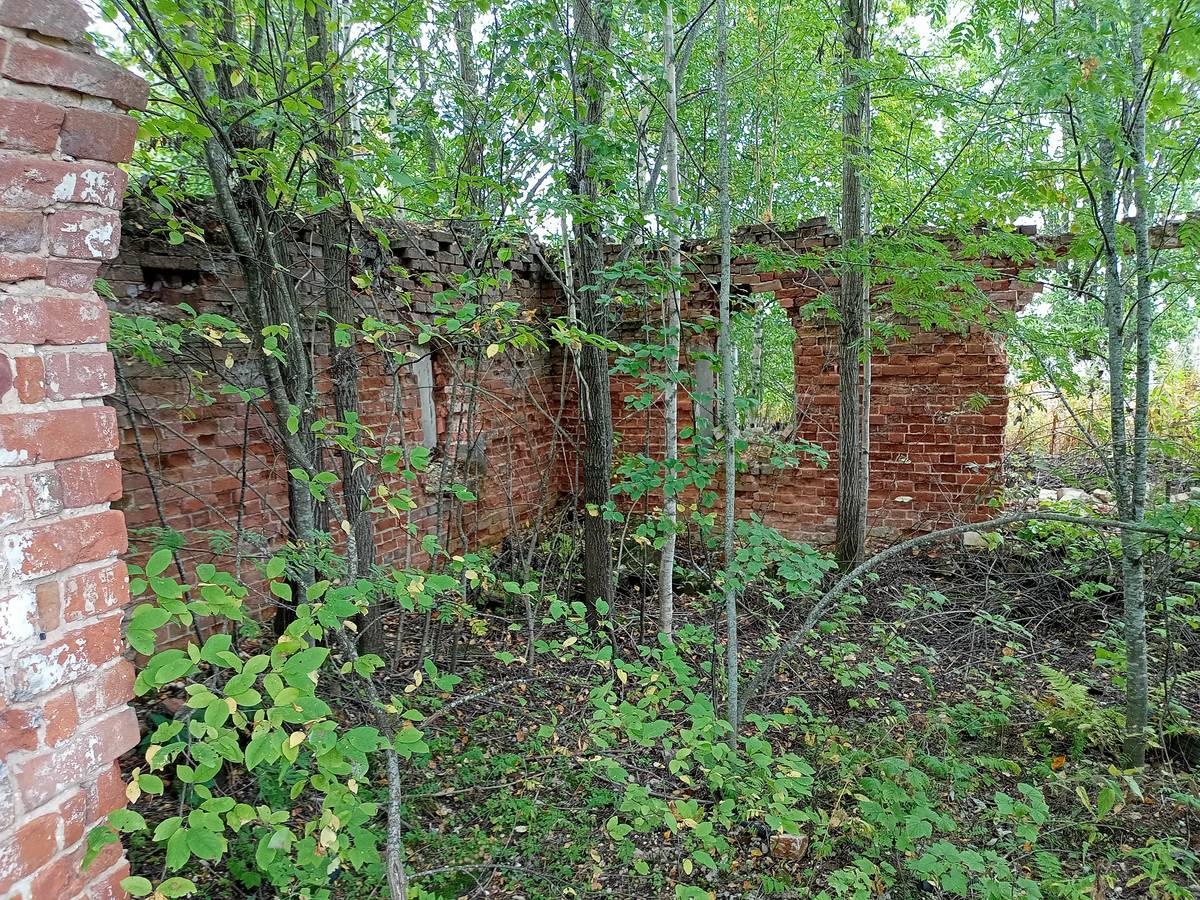 Церковь Троицы Живоначальной, Покровское (Сокольский район, Вологодская область). интерьер и убранство