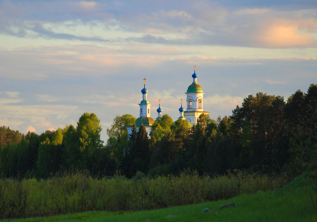 Церковь Покрова Пресвятой Богородицы, Устье (Тотемский район, Вологодская область). общий вид в ландшафте, Вид с северо-востока