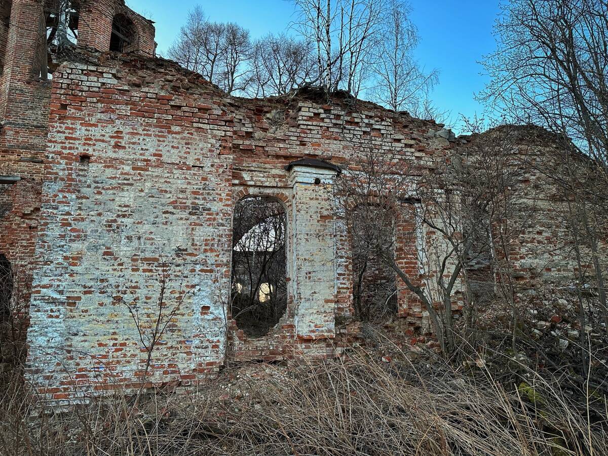 Салтаново. Церковь Параскевы Пятницы. архитектурные детали