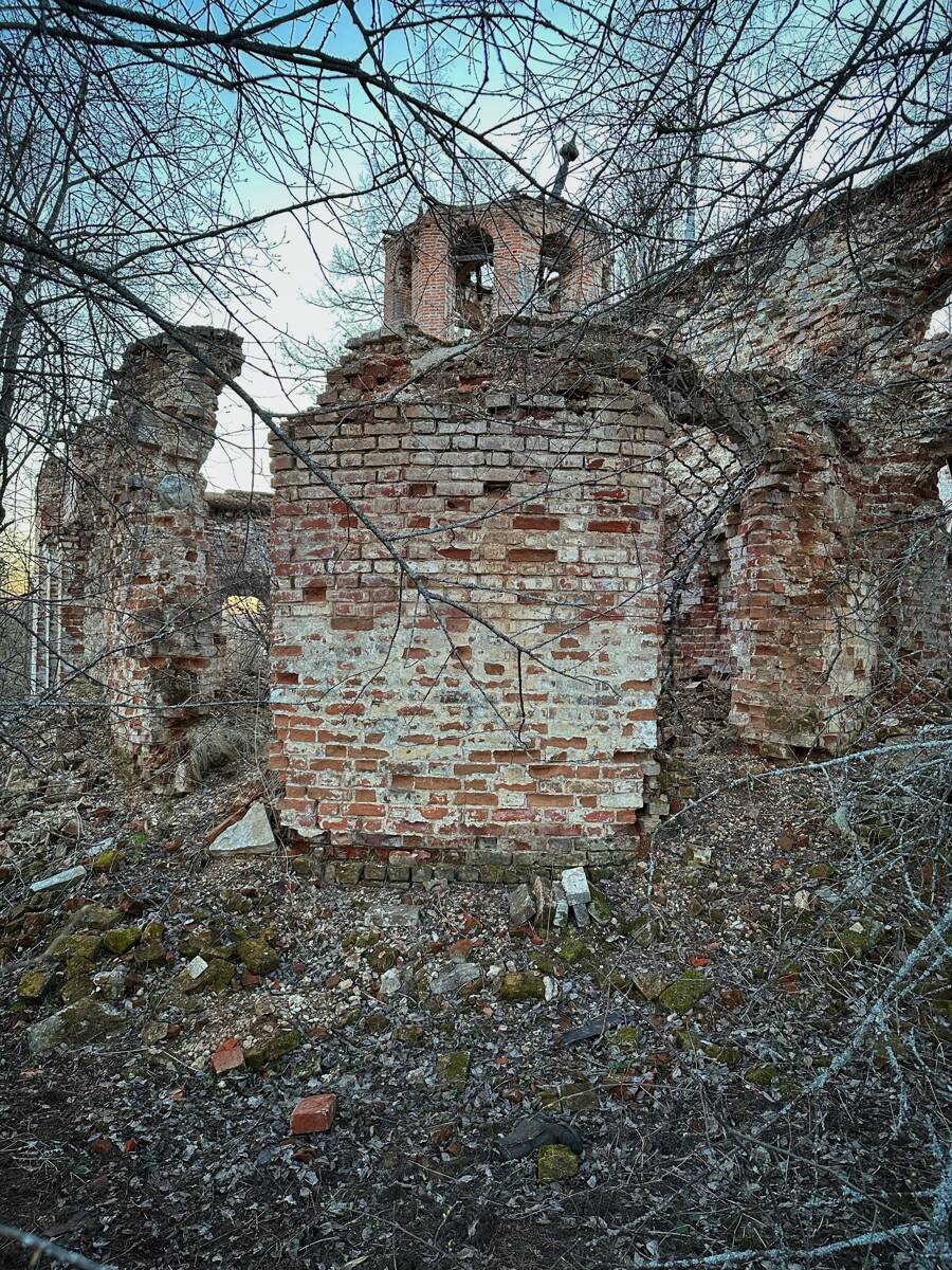 Салтаново. Церковь Параскевы Пятницы. архитектурные детали