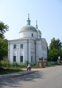 Церковь Рождества Христова, , Дубское, Перевозский район, Нижегородская область