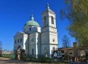 Церковь Рождества Христова, , Дубское, Перевозский район, Нижегородская область