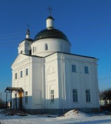 Церковь Рождества Христова, , Дубское, Перевозский район, Нижегородская область