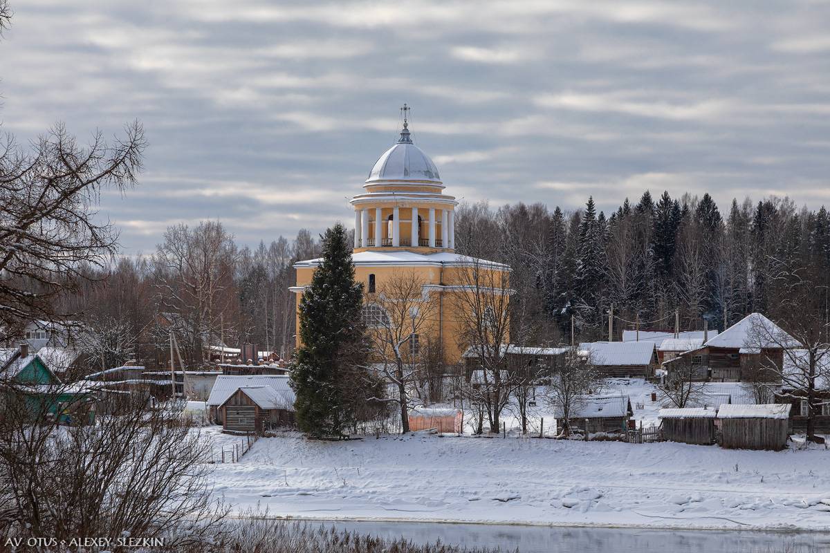 Вид из Любытина, из усадебного парка, общий вид в ландшафте. Собор Успения Пресвятой Богородицы, Бор (Любытинский район, Новгородская область)