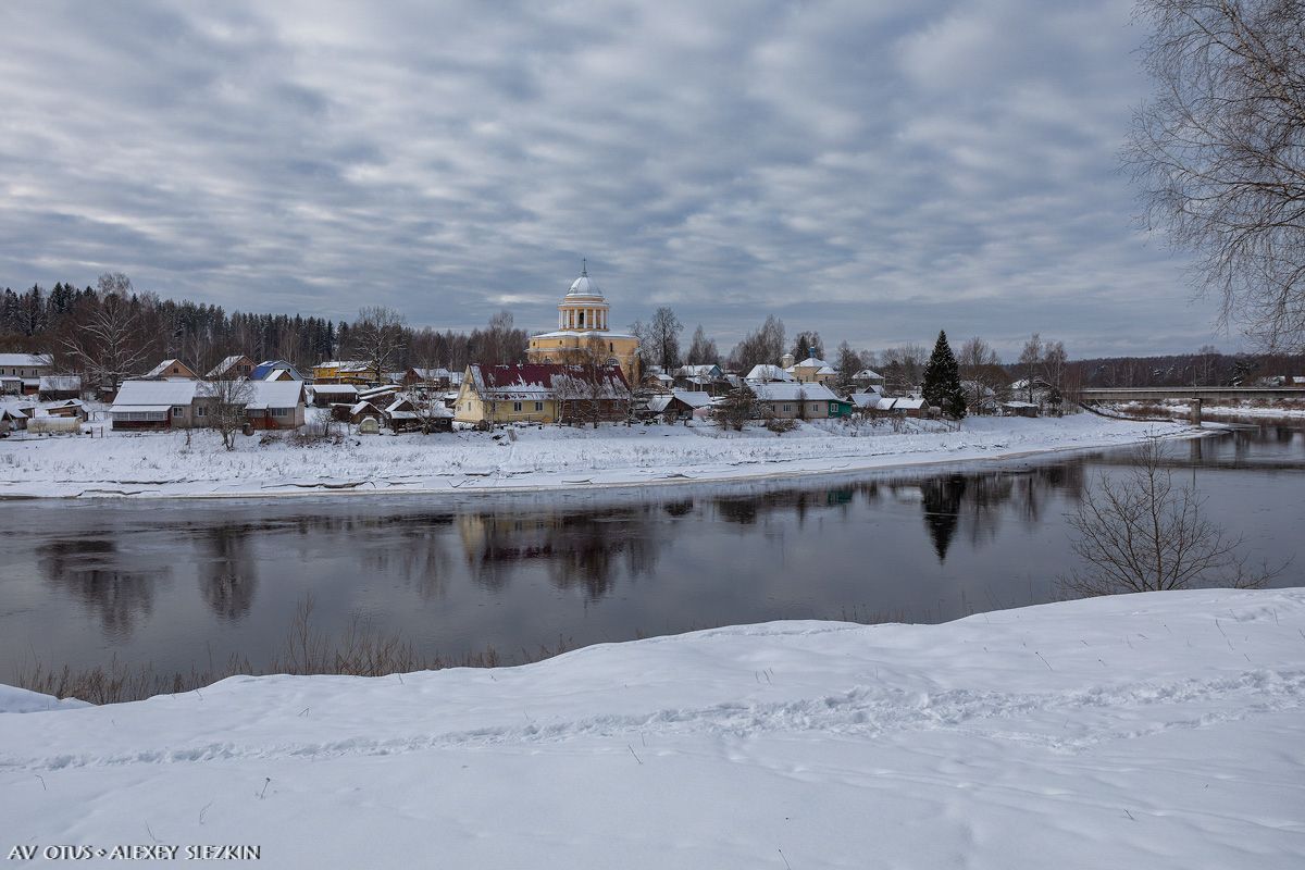 Вид из Любытина, из усадебного парка, общий вид в ландшафте. Собор Успения Пресвятой Богородицы, Бор (Любытинский район, Новгородская область)