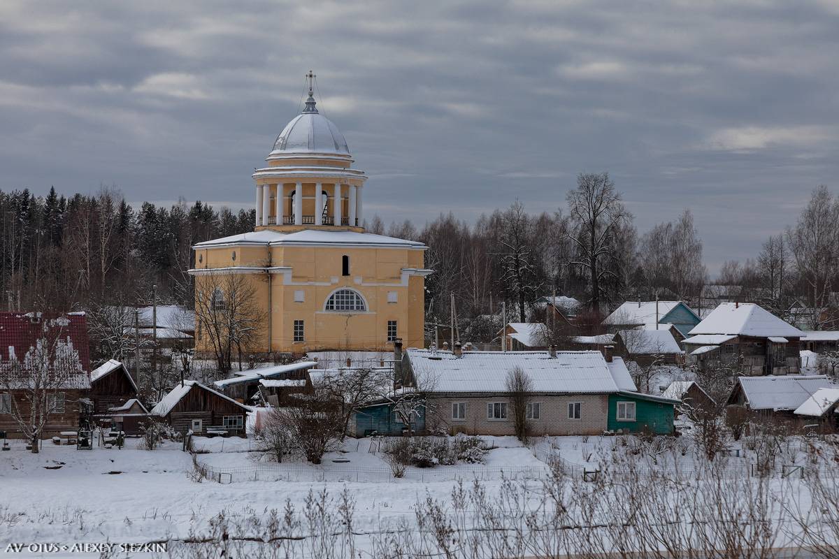 Вид из Любытина, из усадебного парка, общий вид в ландшафте. Собор Успения Пресвятой Богородицы, Бор (Любытинский район, Новгородская область)