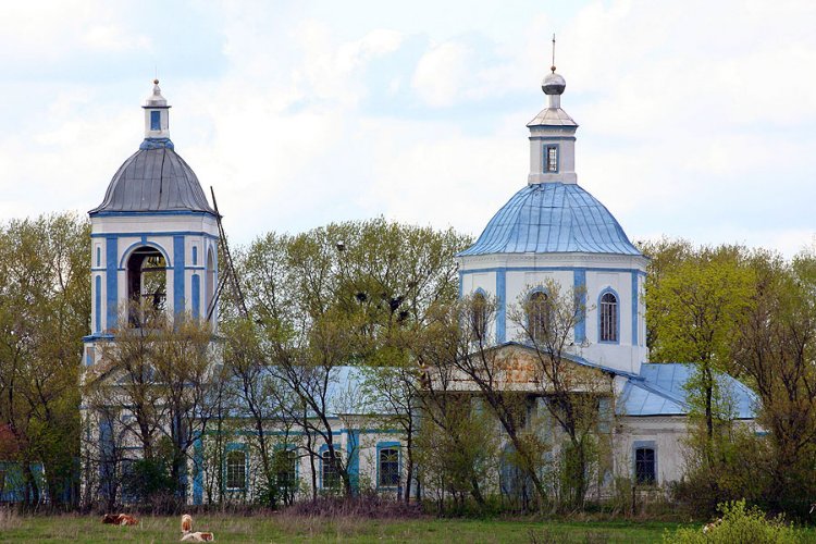 Старая Ольшанка. Церковь Троицы Живоначальной. общий вид в ландшафте