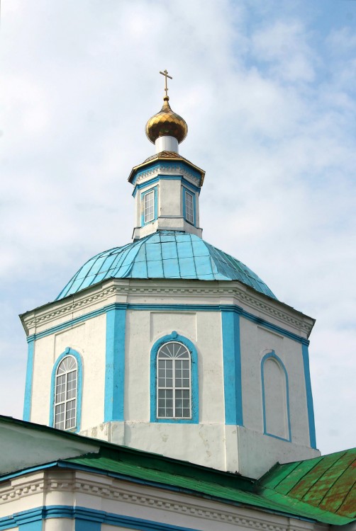 Церковь Троицы Живоначальной, Старая Ольшанка (Семилукский район, Воронежская область). архитектурные детали, купол