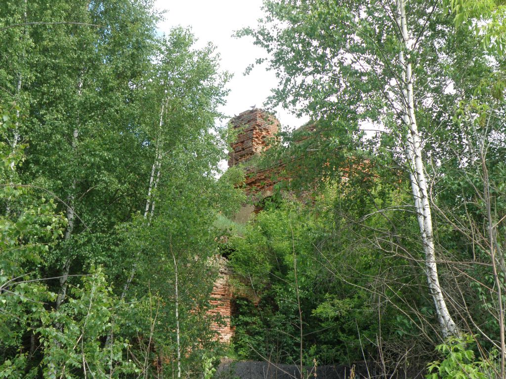 Церковь Троицы Живоначальной, Каменское (Каменский район, Тульская область). фасады