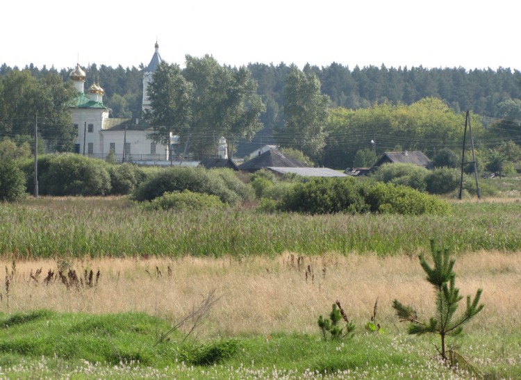 Церковь Параскевы Пятницы, Савина (Пышминский район (Пышминский ГО), Свердловская область). общий вид в ландшафте