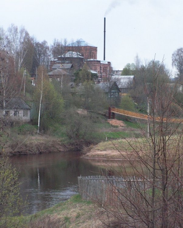 Церковь Рождества Пресвятой Богородицы, Любытино (Любытинский район, Новгородская область). общий вид в ландшафте