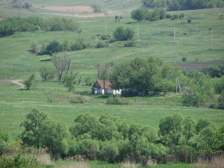 Михайловка. Церковь Троицы Живоначальной. общий вид в ландшафте