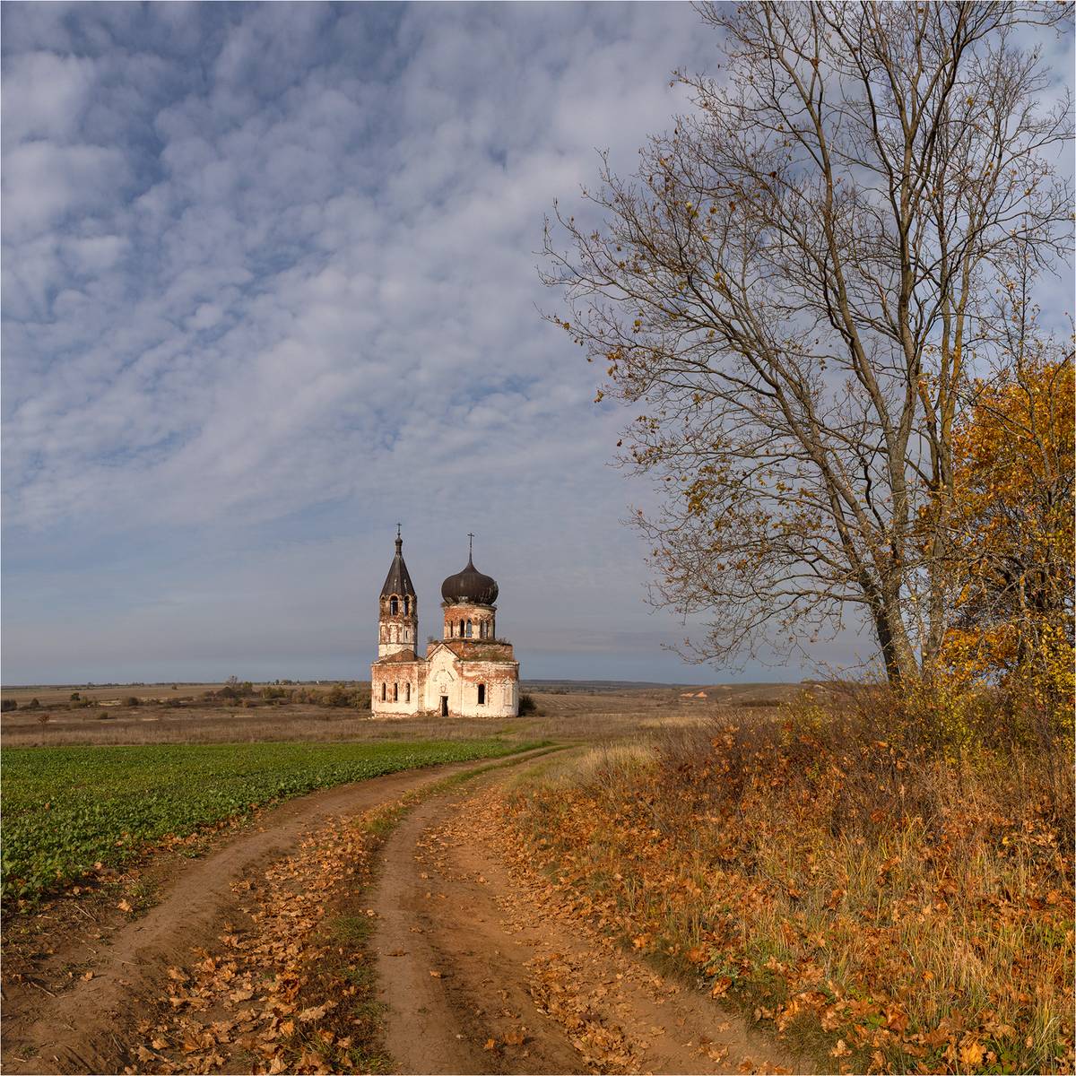 Церковь Троицы Живоначальной, Анненково, урочище (Вадский район, Нижегородская область). общий вид в ландшафте