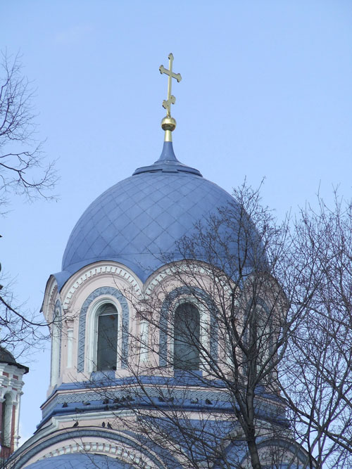 Донской монастырь. Церковь Иоанна Златоуста, Донской (Южный административный округ (ЮАО), г. Москва). архитектурные детали