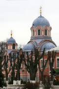 Донской монастырь. Церковь Иоанна Златоуста, , Москва, Южный административный округ (ЮАО), г. Москва
