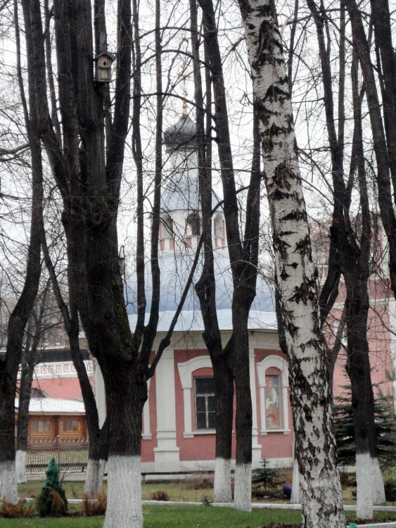 Донской. Донской монастырь. Церковь Георгия Победоносца. общий вид в ландшафте
