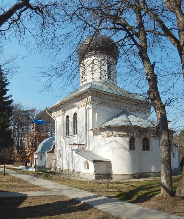 Церковь Александра Невского, Герцена им., санаторий (Одинцовский городской округ и ЗАТО Власиха, Краснознаменск, Московская область). фасады