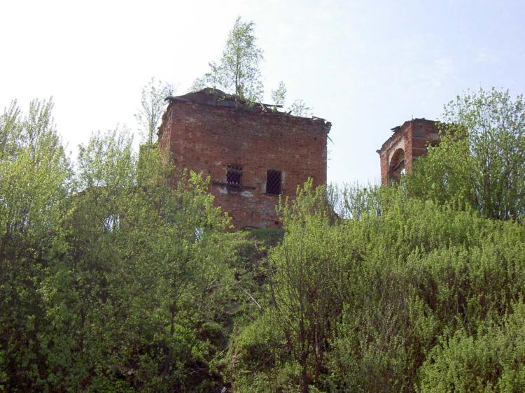Церковь Успения Пресвятой Богородицы, Борзецово (Рузский городской округ, Московская область). фасады