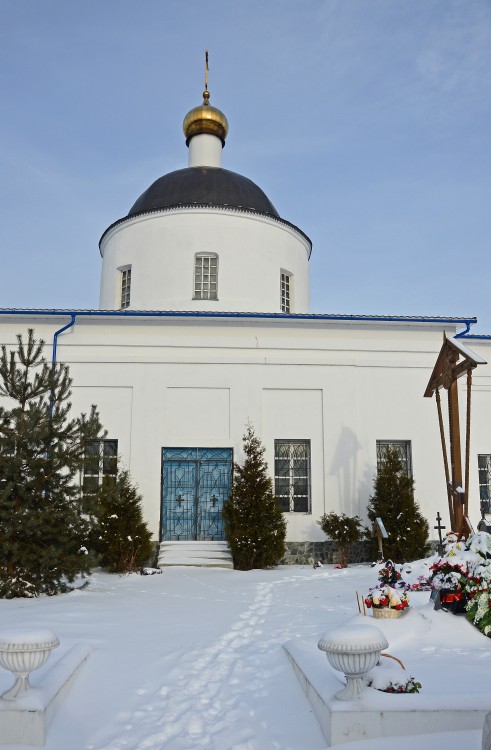 Зюзино. Церковь Рождества Пресвятой Богородицы. фасады