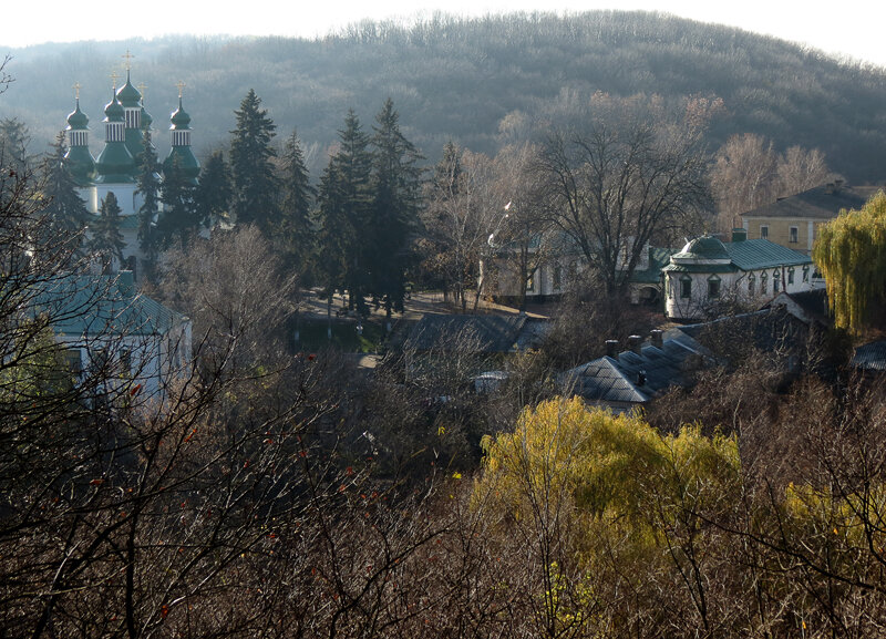 Троицкий мужской монастырь (Китаевская пустынь), Китаев (Голосеевский район, Украина, г. Киев). общий вид в ландшафте