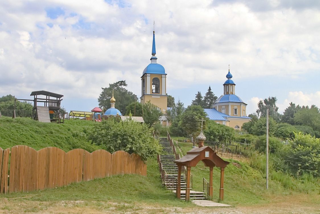 Карижа. Церковь Покрова Пресвятой Богородицы. общий вид в ландшафте