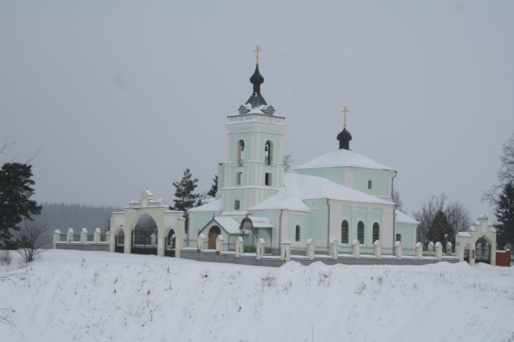 Церковь Троицы Живоначальной, Троицкое (Одинцовский городской округ и ЗАТО Власиха, Краснознаменск, Московская область). общий вид в ландшафте