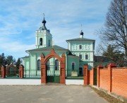 Церковь Троицы Живоначальной, , Троицкое, Одинцовский городской округ и ЗАТО Власиха, Краснознаменск, Московская область