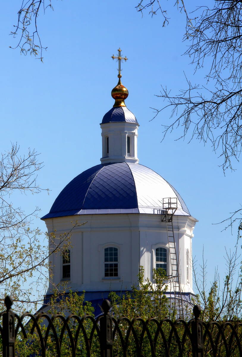 Церковь Покрова Пресвятой Богородицы в Новопокровском, Лиски (Лискинский район, Воронежская область). архитектурные детали, Глава церкви