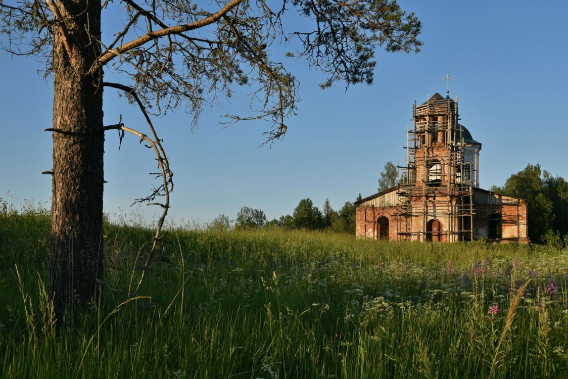 Горышино. Церковь Николая Чудотворца. общий вид в ландшафте, Общий вид с запада