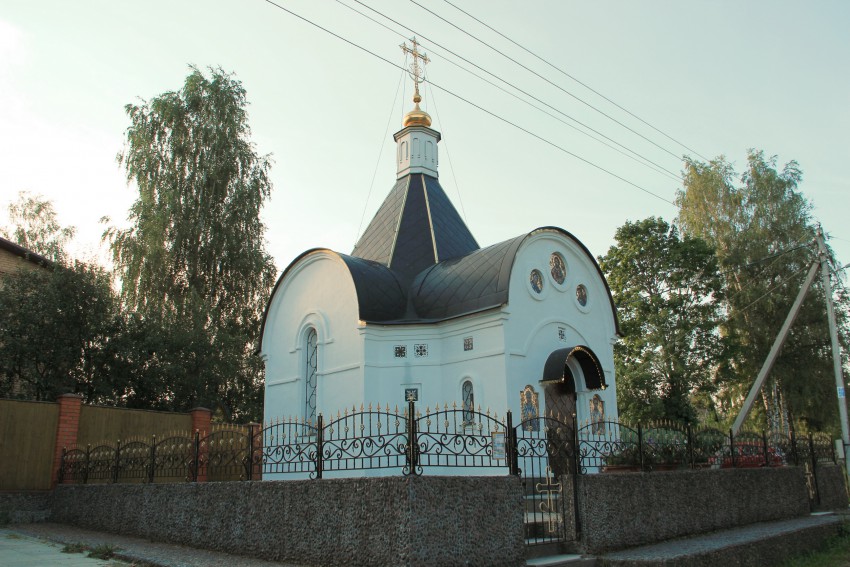 Часовня перенесения мощей Лазаря Четверодневного, Шелепино (Дмитровский городской округ, Московская область). общий вид в ландшафте