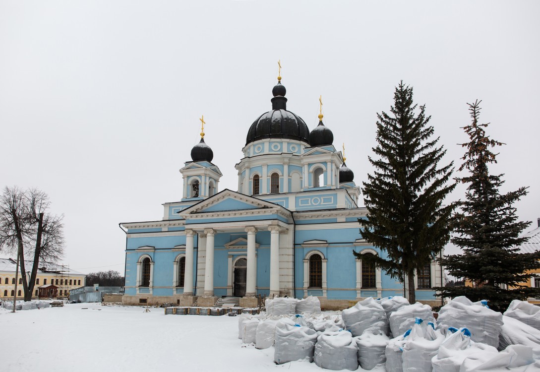 Успенский Вышенский женский монастырь. Собор Рождества Христова, Выша (Шацкий район, Рязанская область). фасады