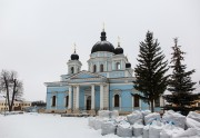 Успенский Вышенский женский монастырь. Собор Рождества Христова, , Выша, Шацкий район, Рязанская область