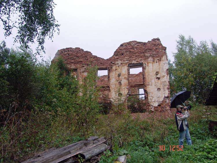 Церковь Троицы Живоначальной, Борисово-Судское (Бабаевский район, Вологодская область). общий вид в ландшафте