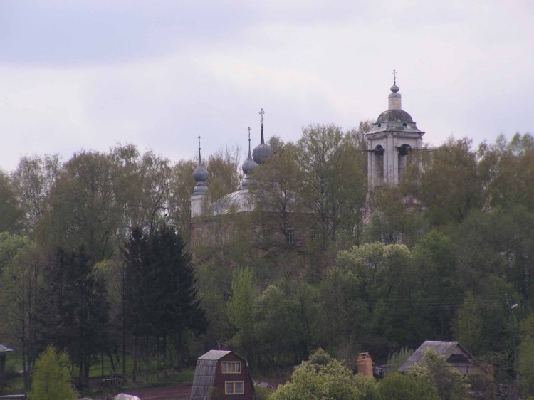 Церковь Владимирской иконы Божией Матери, Мишаки (Тутаевский район, Ярославская область). общий вид в ландшафте