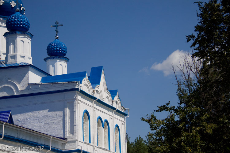 Спас-Купалище. Подворье Боголюбского женского монастыря. Церковь Спаса Преображения. фасады