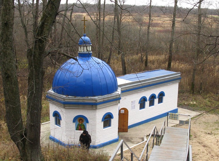 Спас-Купалище. Подворье Боголюбского женского монастыря. Часовня св. мученика Вонифатия. общий вид в ландшафте