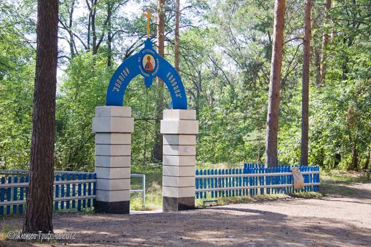 Подворье Боголюбского женского монастыря. Часовня св. мученика Вонифатия, Спас-Купалище (Судогодский район, Владимирская область). общий вид в ландшафте
